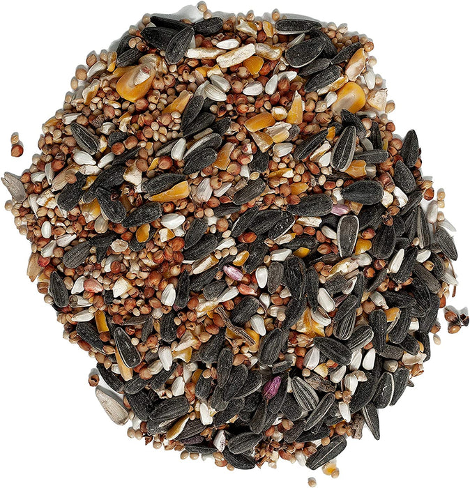 62067 Deluxe Treat Blend Wild Bird Food, 4-Pound Bag