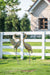 Yard Decorations Outdoor Heron Garden Art Statues Sculptures, 33-39 Inch Metal Copper Crane Yard Art Bird Lawn Ornaments for Backyard outside Porch Patio Wedding Decor, Set of 2