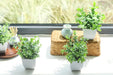 4 Packs Fake Plants Mini Artificial Greenery Potted Plants for Home Decor Indoor Office Table Room Farmhouse