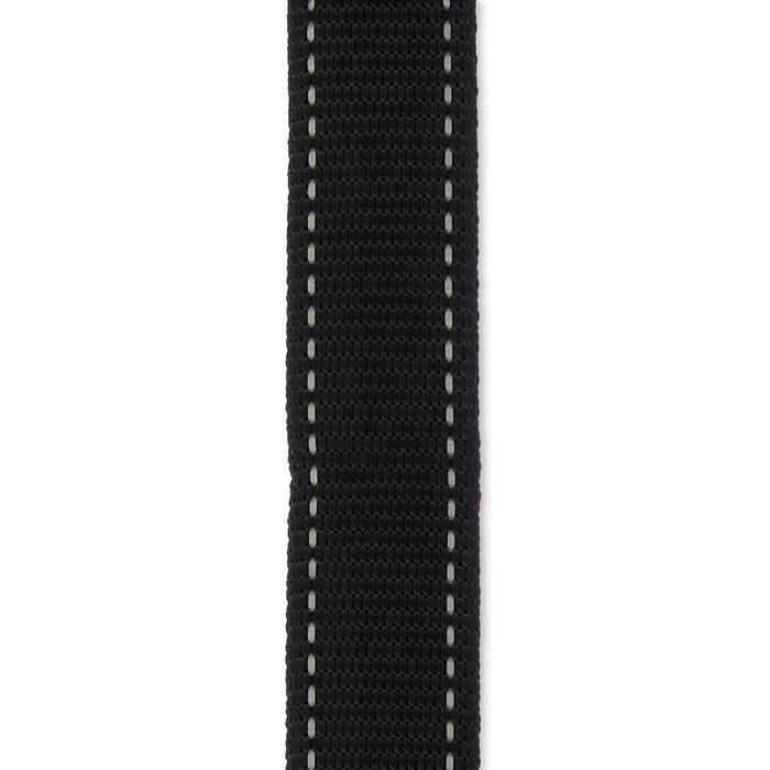 Vibrant Life 20' Polyester Slip Lead Dog Leash, Black, L