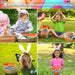 Easter Basket Stuffers Push Bubble Fidget Easter Toys for Kids, 4PCS Stress Relief Squeeze Sensory Toy Rainbow Silicone anti Anxiety Fidget Autism Toy Gift for Kids Easter Basket Stuffers Party Favors