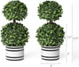 Set of 2 (12.5") Artificial Boxwood Topiary Potted Plant Decorations, Mini Faux Fake Plant Greenery Arrangements in Pots for Office Desk or Home Decor, 5.5" X 12.5"