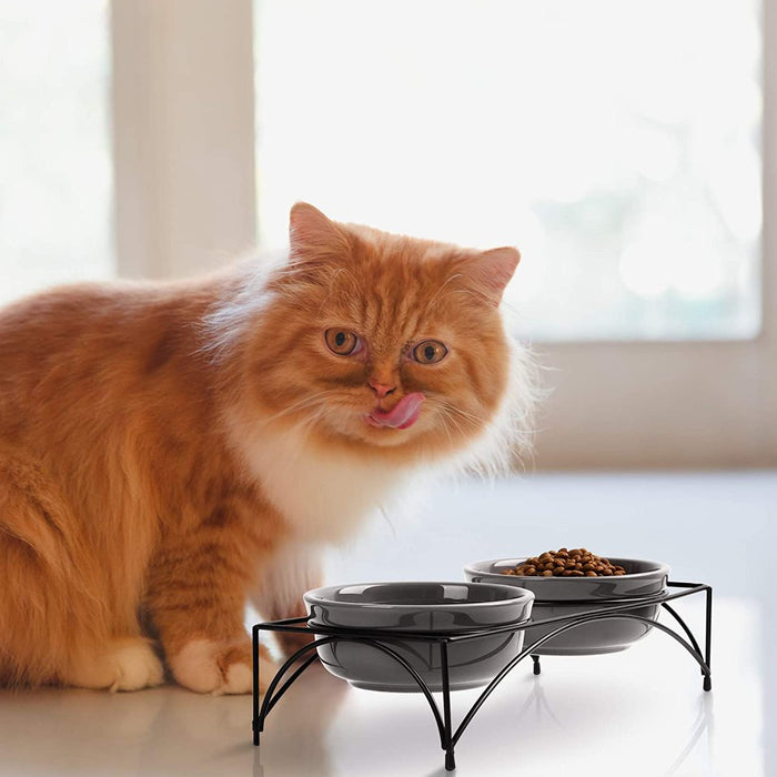 Ceramic Pet Bowls with Stand, 12 Ounces Raised Cat Dishes,Elevated Pet Bowls Non-Skid for Cats/Puppys, Gray