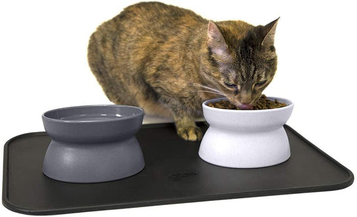 Kitty City Raised Cat Food Bowl Collection_Stress Free Pet Feeder and Waterer