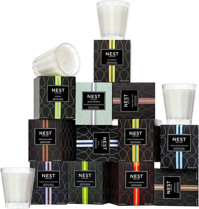 NEST New York Wild Mint & Eucalyptus Scented Classic Candle