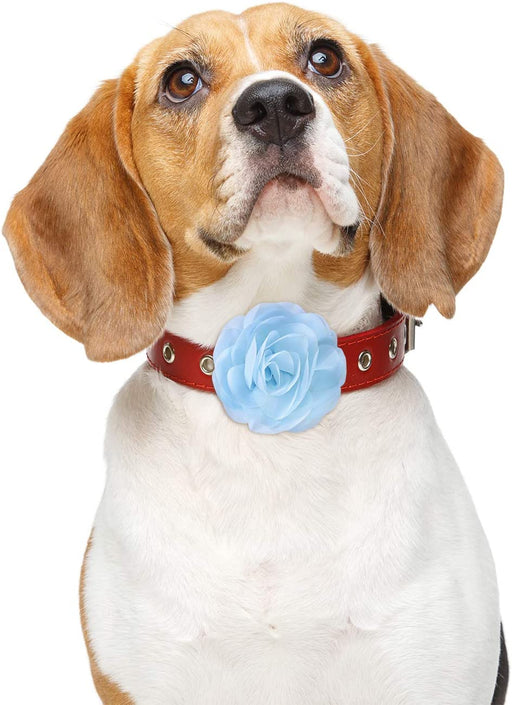 4 Pieces Dog Flower Bow Collar Multicolored Pet Bow Collar Dog Charms Flower Set for Puppy Dog Collar Cat Pet Grooming Accessories (White, Peach Pink, Sky Blue, Flesh Pink)