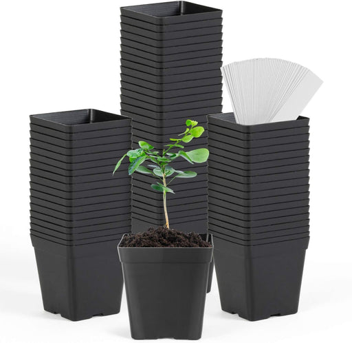 Square Nursery Pots 3.3 Inches Flexible Plastic Seedling Pots Square Pots for Plants, Succulent, Flower, Pack of 60, with 60 PCS Plant Labels