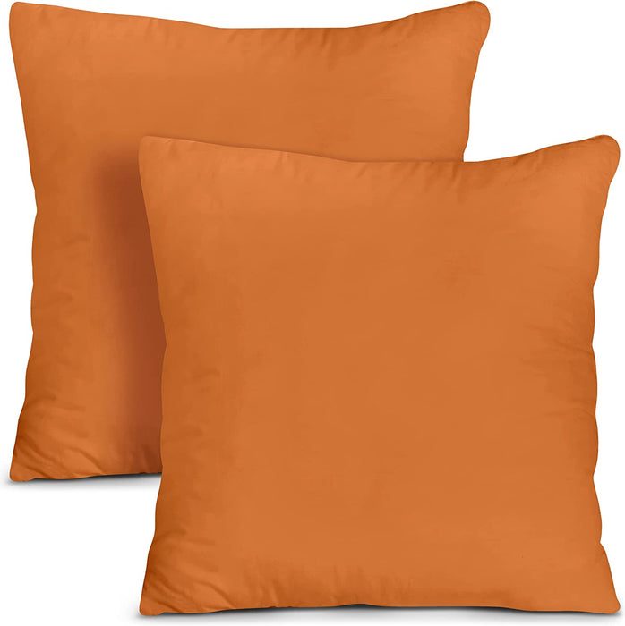 Throw Pillows Insert (Pack of 2, White) - 18 X 18 Inches Bed and Couch Pillows - Indoor Decorative Pillows