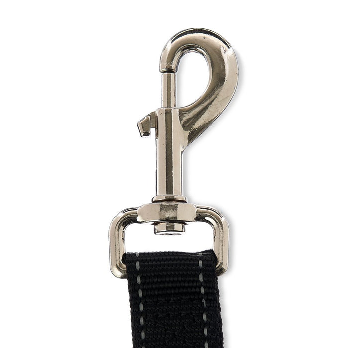 Vibrant Life 20' Polyester Slip Lead Dog Leash, Black, L