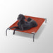 Coolaroo the Original Cooling Elevated Pet Bed