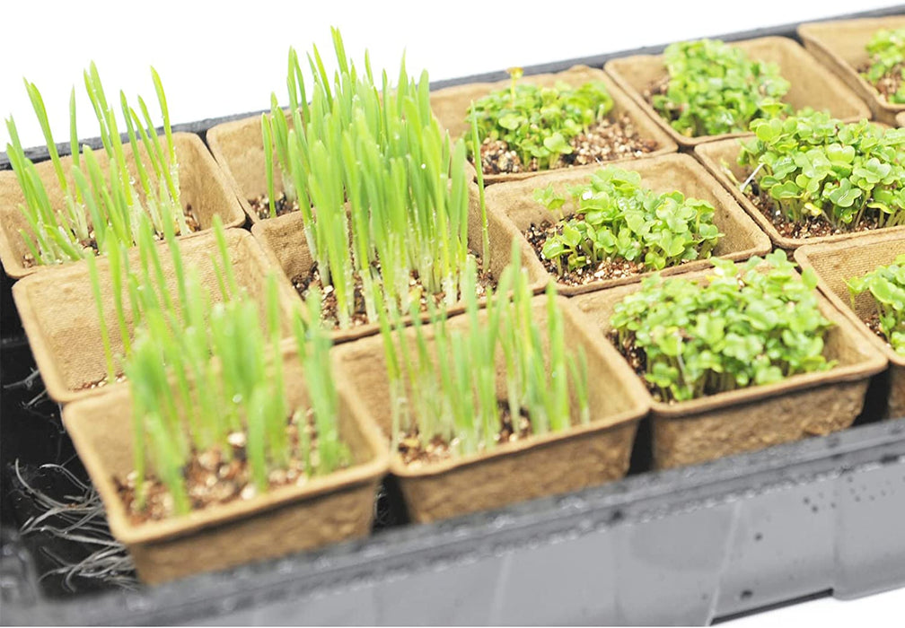 Seed Starter Kit with 90 Peat Pots for Seedlings Seed Starter Tray, 5 Plastic Growing Trays 20 Plant Labels & 3 Garden Tools Outdoor or Indoor