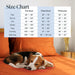 6 PC Sheet Set Sheets Deep Pockets 18" Eco Friendly Wrinkle Free Sheets Machine Washable Hotel Bedding Silky Soft - Autumn Orange Queen