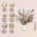 92PCS Beautiful Natural Pampas Grass Bouquet Decor | Long-Lasting Dried Flowers Bouquet for Boho Home Decor and Boho Wedding Decor (The Wild Bouquet)