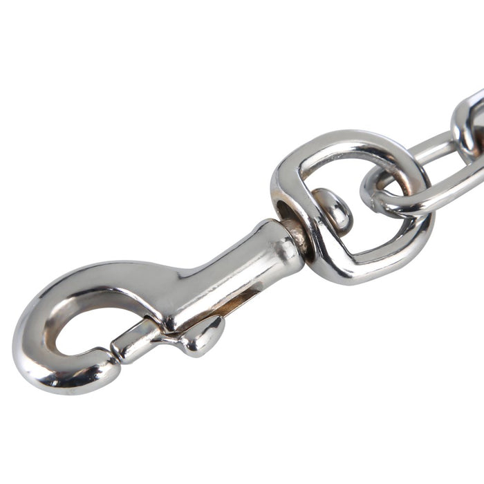 Pet Champion 5' Nylon & Steel Chain Dog Leash, Silver, M/L