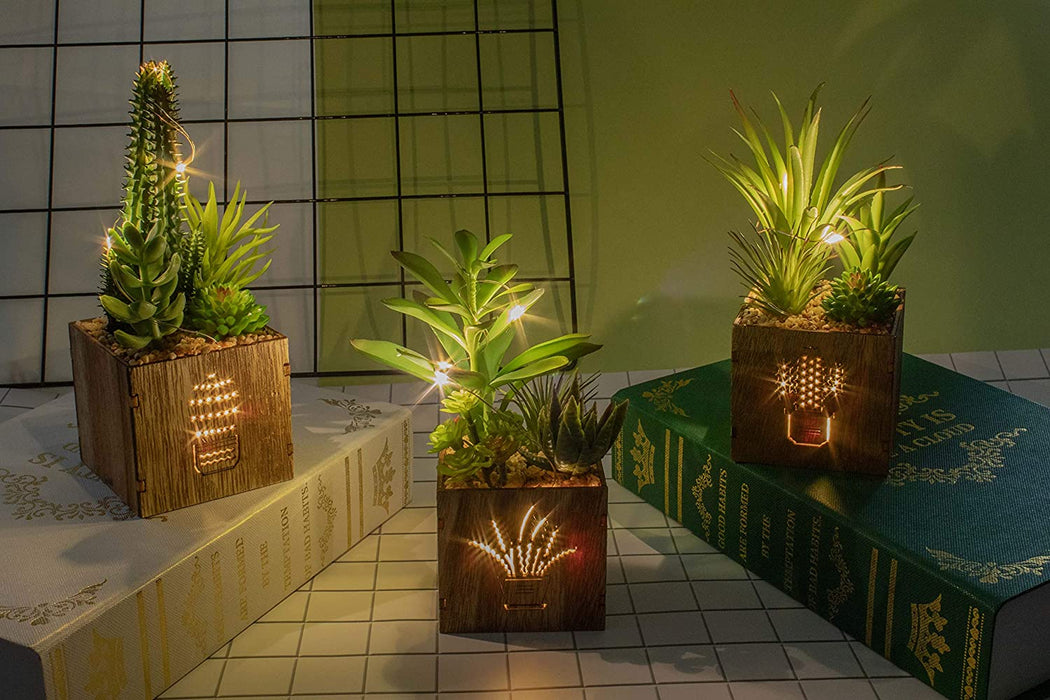 Set of 3 Artificial Succulents with Led Lights in Wooden Box, Artificial Plants Plastic Fake Topiary for Home/Office Decorations, Table Centerpiece