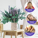 52 PCS Mix Dried Eucalyptus & Lavender Flowers Bundles for Shower, 17'' Natural Real Hanging Silver Dollar Eucalyptus Leaves Stem, Fresh Shower Plants, Fragrance, Home Wedding Decor