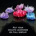 7 Crystal Growing Science Experimental Kit with Display Cases - Easy DIY STEM Toy Lab Experiment Specimens, Educational Gift for Kids, Teens, Boys & Girls