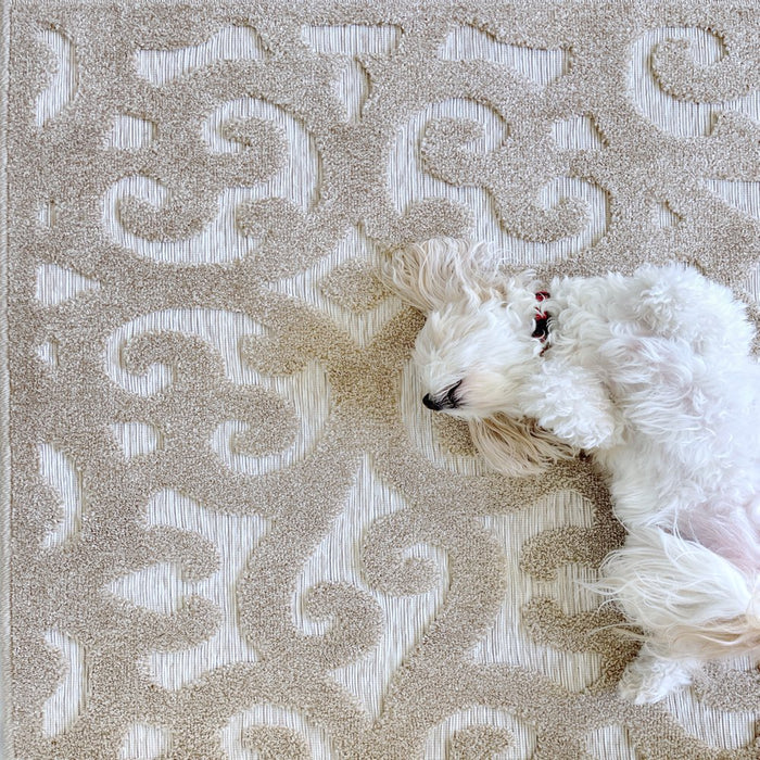 My Texas House Irongate, Transitional, Damask, Woven Area Rug, 7'9" X 10'10"