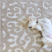 My Texas House Irongate, Transitional, Damask, Woven Area Rug, 7'9" X 10'10"