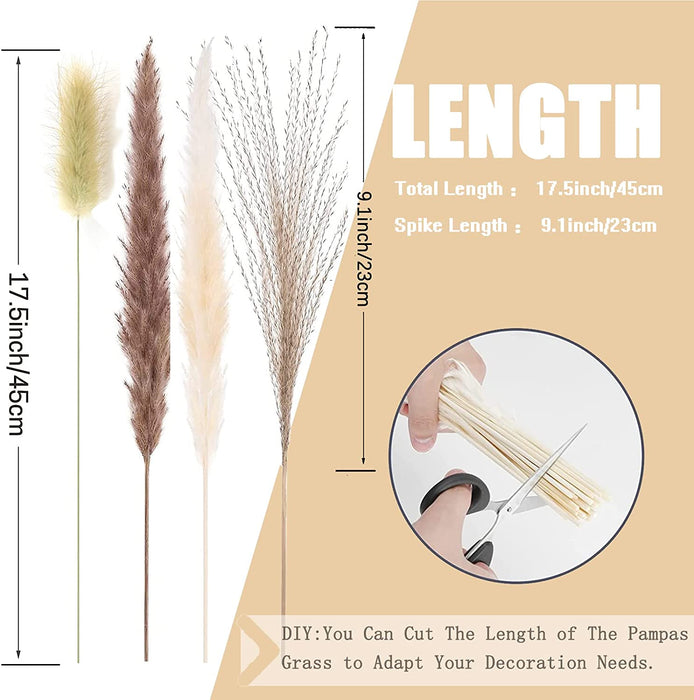Pampas Grass 80 Pcs 17.5 Inch Natural Dried Pampas Grass - 15Pcs White Pampas & 15Pcs Brown Pampas & 30Pcs Reed Grass & 20Pcs Bunny Tail Grass,Fluffy Dried Flowers for Home Decor Wedding Boho Decor…