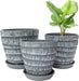 Plant Pots, 7.5/6.5/5.5 Inch Set of 3 Planters Flower Pots with Drainage Hole and Tray, Macetas Para Plantas Plastic Pots for Indoor Outdoor Plants