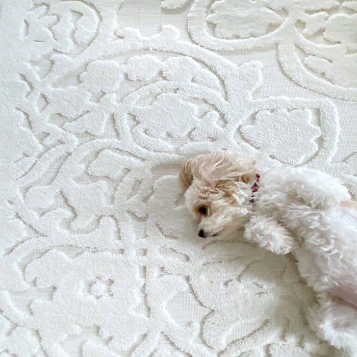 My Texas House Dahlia, Transitional, Medallion, Woven Area Rug, 7'9" X 10'10"
