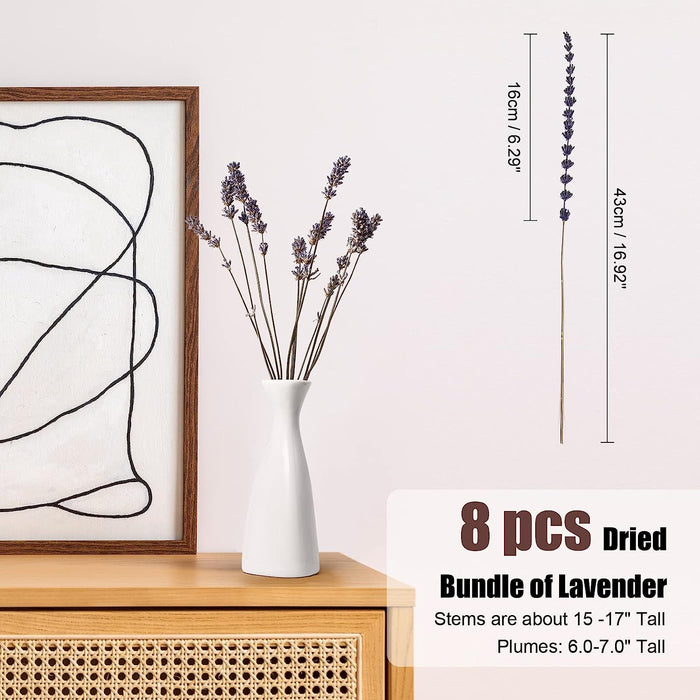 Dried Pampas Grass Boho Home Decor, 92Pcs Natural Flowers Bouquet Inc Lavender Bunny Tail Pompas Reed Neutral Bohemian Fall Decoration for Table Wedding Bedroom Western Vase Fireplace Christmas Décor