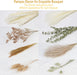 Natural Dried Flower Bouquet , Dried Pampas Grass Decor, 8 Varieties Flowers for Vase, Dried Floral Arrangements for Home Wedding Table Decor(Green)
