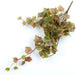 For Poly Silk Grape Leaf Bush | for Indoor Decor Area Home & Garden