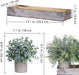 Set of 3 Mini Potted Artificial Eucalyptus Plants Faux Rosemary Plant Assortment with Wood Planter Box for Indoor Office Desk Apartment Wedding Tabletop Greenery Decorations 8.7" Tall