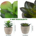 GIRLS Small Fake Plants Set of 4 - Eucalyptus Rosemary Succulents Plants Artificial in Pots for Home Decor Indoor - Mini Faux Potted Plants for Bedroom Bathroom Living Room Desk Shelf Decoration