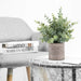 3 Pack Mini Potted Artificial Plants Fake Eucalyptus Greenery in Pots for Home Office Desk Decor