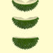 Durian Shaped Toy Hair Remover in the Corner Pet Products Cat Supplies