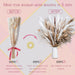 92PCS Beautiful Natural Pampas Grass Bouquet Decor | Long-Lasting Dried Flowers Bouquet for Boho Home Decor and Boho Wedding Decor (The Wild Bouquet)