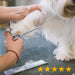 7.5" 56-Tooth Blending Dogs Grooming Scissors Cats Thinning Shears Pets Blender Thinner Trimming Texturizing Kit with Offset Handle Blue Jewelled Screw (7.5 Inch)