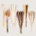 Natural Dried Pampas Grass 120PCS for Boho Home Decor Mixed Dried Flowers Bouquet for Wedding Party Decor Pompas Floral Arrangements, Farmhouse Rustic Decor