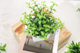 6 Packs Fake Plants, Mini Artificial Plants Indoor for Home Farmhouse Bathroom Shelf Decor…