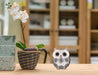 Adorable Owl Figurine,Big Eyes Cute Owl Statue,Shelf Accents for Home Office Decor and Owl Lovers