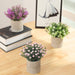 GIRLS Small Fake Plants Set of 3 Home Decor Indoor, Potted Artificial Plant Flowers Living Room Bedroom Bathroom Aesthetic, Mini Faux Plant in Pots for Desk Shelf Office, Purple Pink White