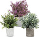 Artificial Plant, 3 Pcs Mini Plants Artificial Potted Set Fake Green Seven-Layer Grass Plant Faux Plastic Herbs Topiary Shrubs for Home Office Desk , Kitchen Counter Decoration