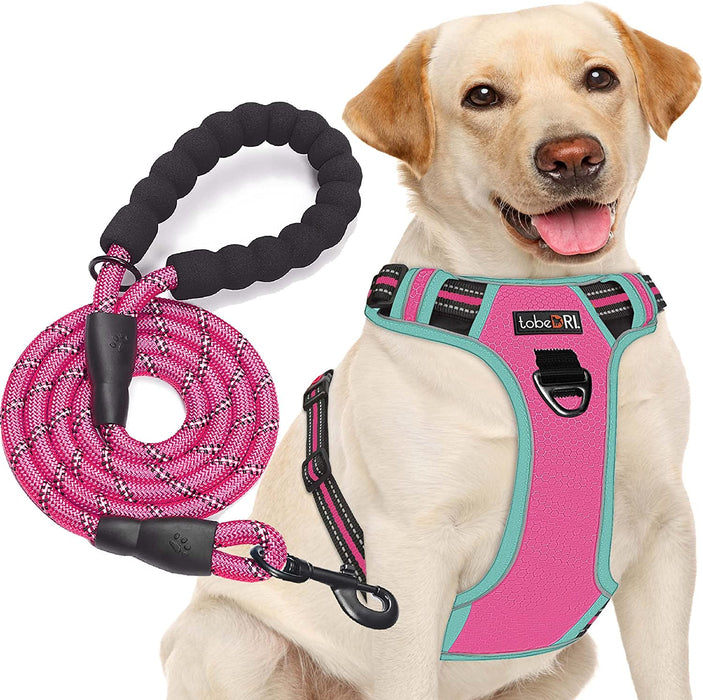 No Pull Dog Harness Adjustable Reflective Oxford Easy Control Medium Large Dog Harness with a Free Heavy Duty 5Ft Dog Leash (S (Neck: 13"-18", Chest: 17.5"-22"), Blue Harness+Leash)