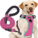 No Pull Dog Harness Adjustable Reflective Oxford Easy Control Medium Large Dog Harness with a Free Heavy Duty 5Ft Dog Leash (S (Neck: 13"-18", Chest: 17.5"-22"), Blue Harness+Leash)