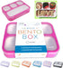 Bento Lunch Box Kids & Adult: Leakproof Lunch Containers for Boys & Girls with 3 Compartments - School, Daycare, Meal Planning Portion Control Container, Bpa-Free Boxes, Utensils | Blue Purple 2 Pack