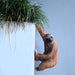 Sloth Fence Hanger - Outdoor Hanging Sloth Statue- Detailed Garden Decor for Wall, Patio, Porch, Fence, Window