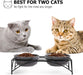 Ceramic Pet Bowls with Stand, 12 Ounces Raised Cat Dishes,Elevated Pet Bowls Non-Skid for Cats/Puppys, Gray