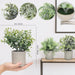 3 Pack Mini Potted Fake Plants Eucalyptus Rosemary Boxwood Artificial Plastic Plants for Bathroom Shelf Home Office Desk Table Decor Indoor