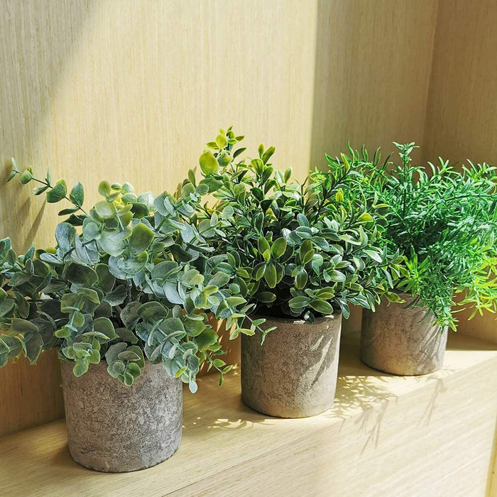 Mini Potted Plants Artificial Eucalyptus Boxwood Rosemary Greenery in Pots Faux Potted Herbs Small Houseplants 8.3"-9" Tall for Indoor Greenery Tabletop Décor Centerpiece 3 Pack