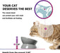Raised Cat Food Bowl, Ceramic Elevated Cat Bowl, Title Angle Protect Cat'S Spine, anti Vomiting Cat Dish, Backflow Prevention, Grey