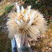 Dried Pampas Grass Boho Decor - 85 Pieces 17.5" Natural Fluffy Dried Flowers for DIY Decor Birthday Contains Pampas Grass & Pampas Flower & Reed Grass & Bunny Tail Grass & Craspedia