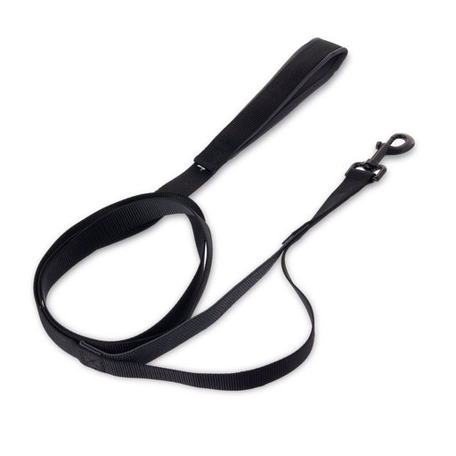 Vibrant Life Padded Anti-Shock Dog Leash, Black, Large, 6'